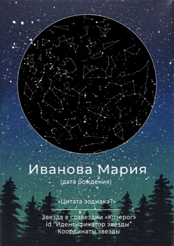Вариант 2 — Изумрудная ночь