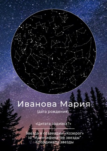 Вариант 3 — Звёздный лес
